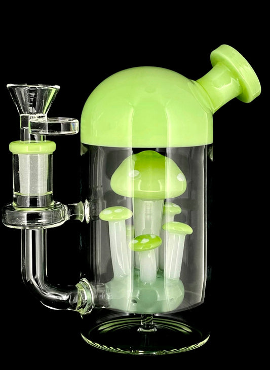 Mushroom Perc Dome Rig